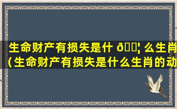 生命财产有损失是什 🐦 么生肖（生命财产有损失是什么生肖的动物）